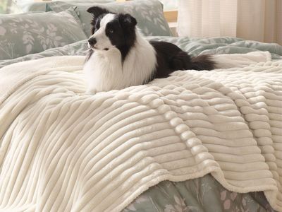 BedSure Reversible Faux Fur Fleece Blanket - Cozy & Machine Washable Pet/Human Throw