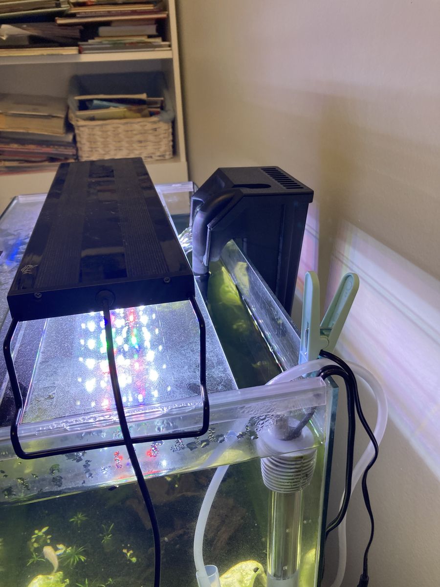 10 gallon Fish tank with all the accessories