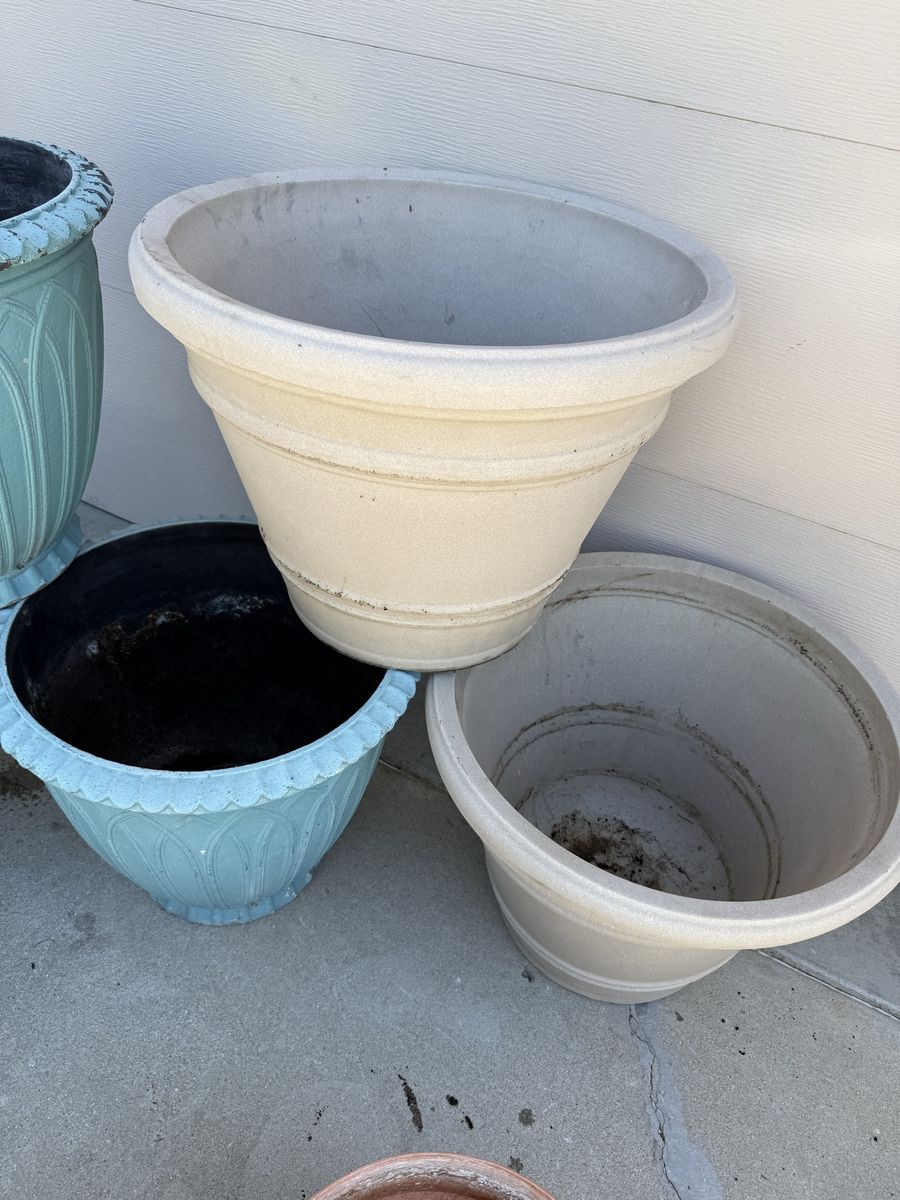 Main image 6