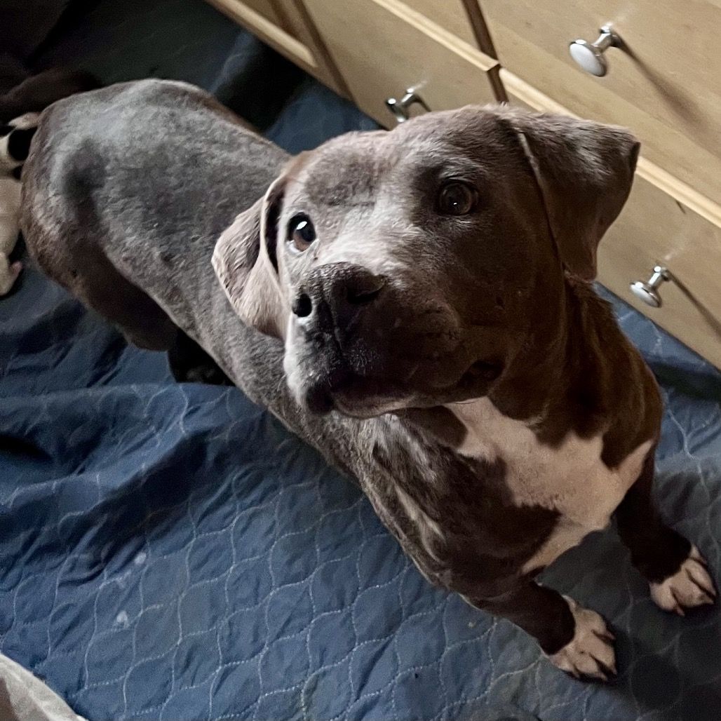 Hello my name is Maria