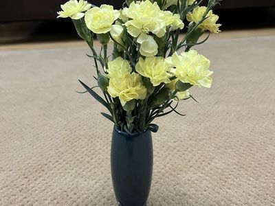 Fiestaware / Fiesta Ware Juniper Vase -Retired Color- Collectable - Mint