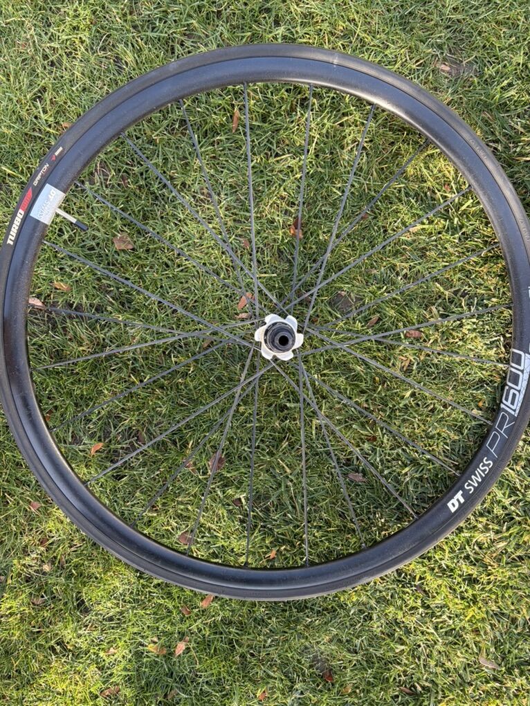 DT Swiss Spline 1600 Rear Wheel