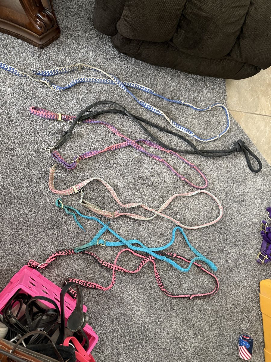 Reins and misc tack