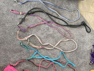 Reins and misc tack