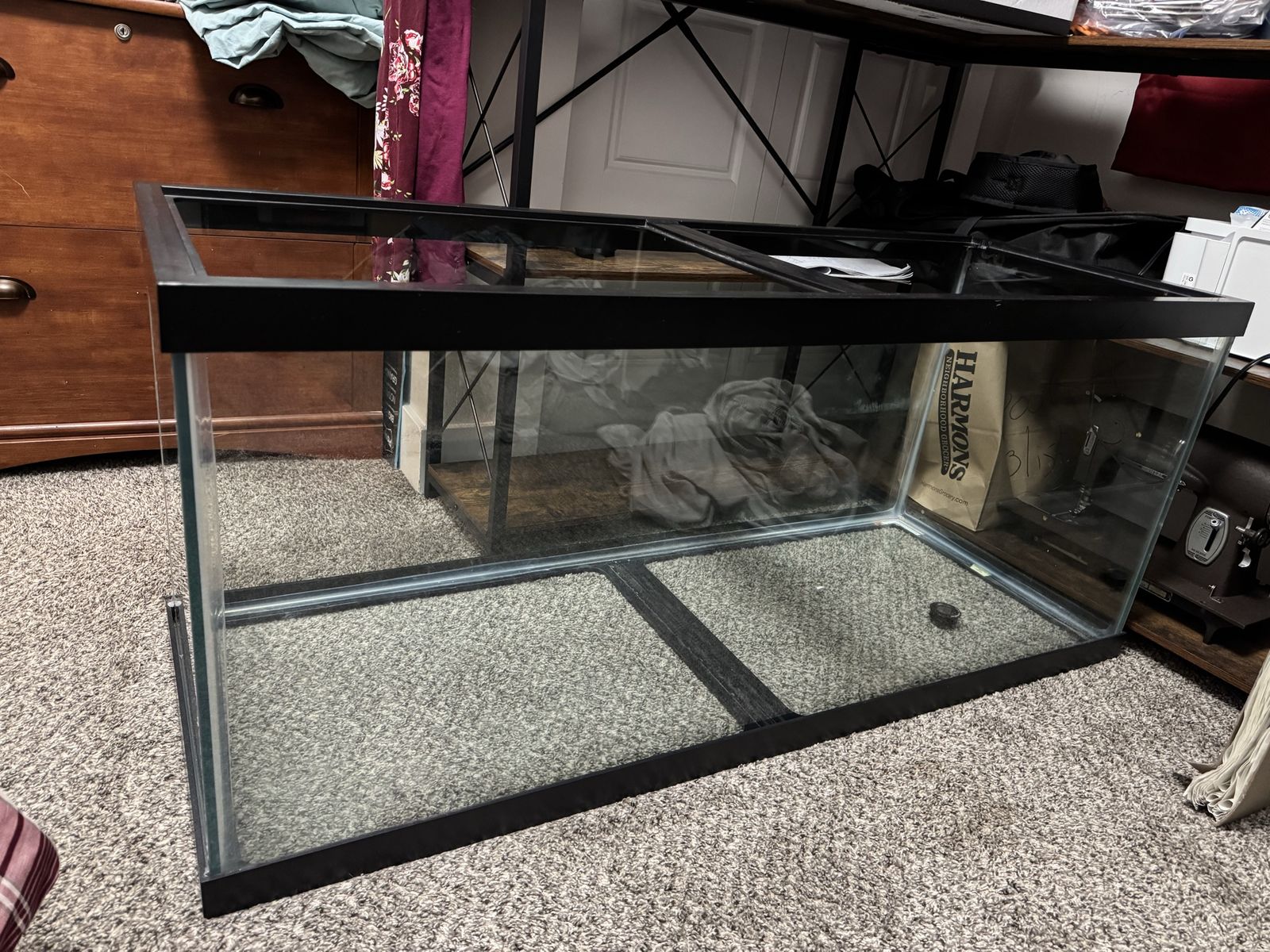 75 gallon tank