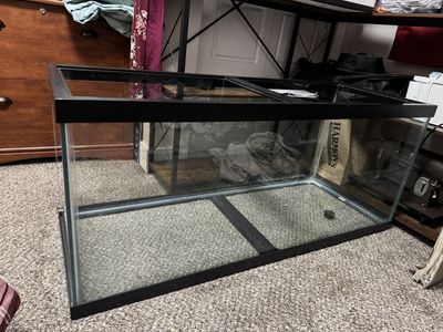75 gallon tank