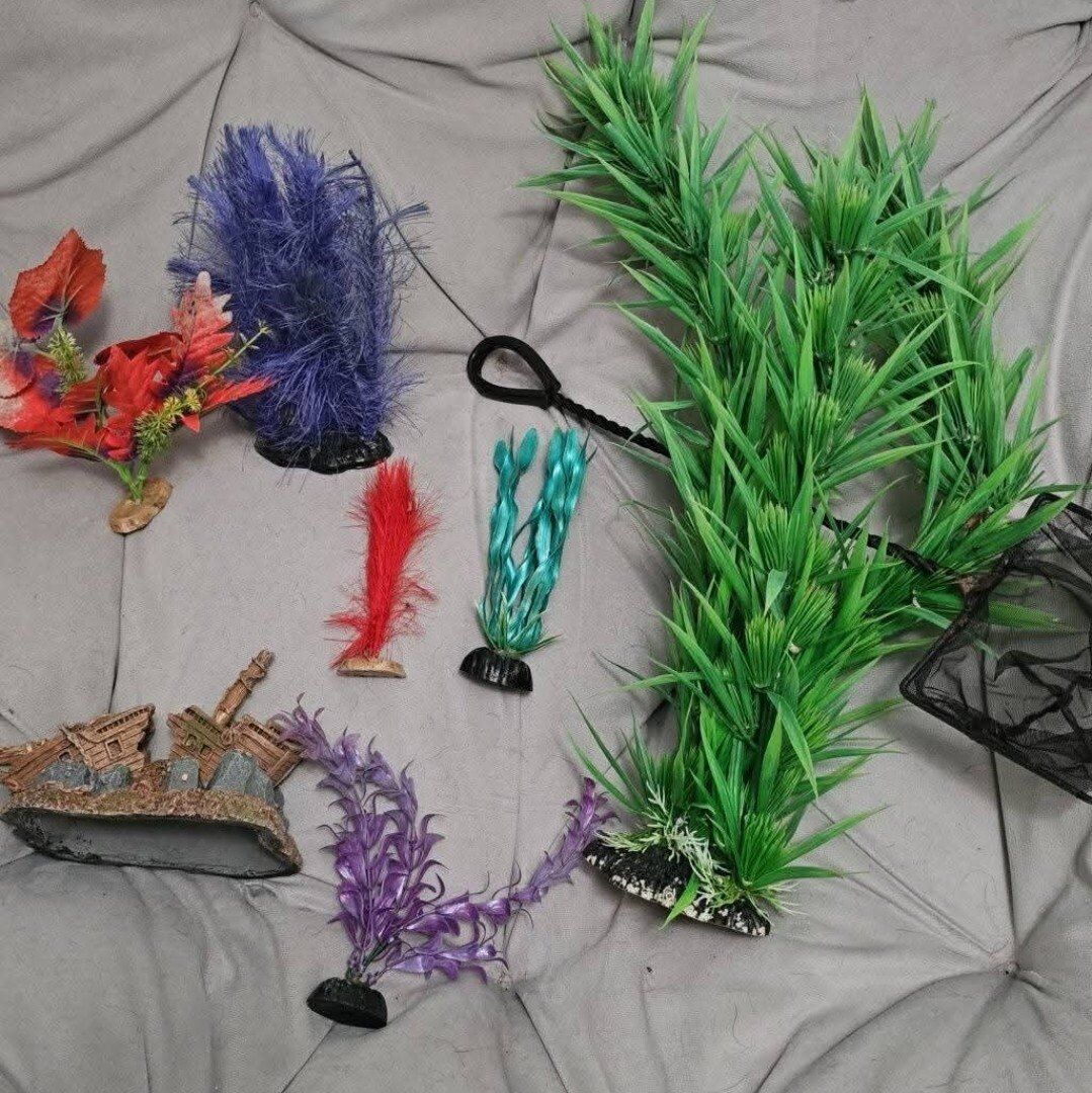 Free misc fresh fish decor