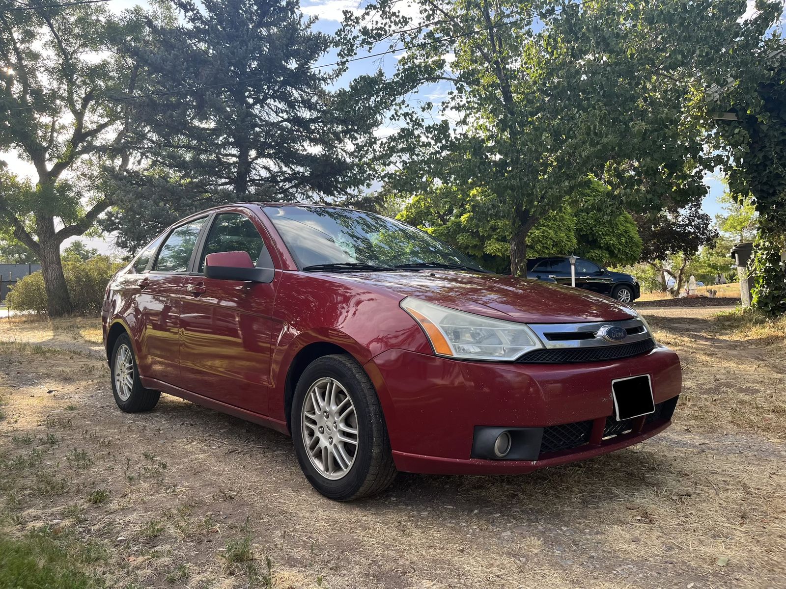 2009 Ford Focus SES