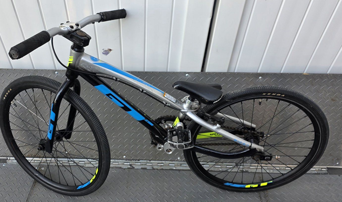 GT MICRO MINI(20" tires) bmx bike