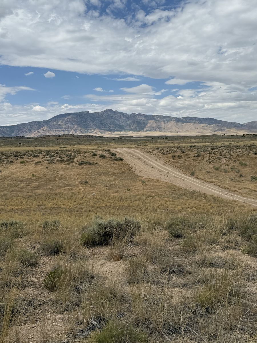 Main image 9