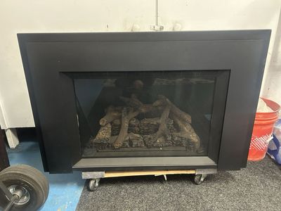 Napoleon GDIX4 Fireplace Insert