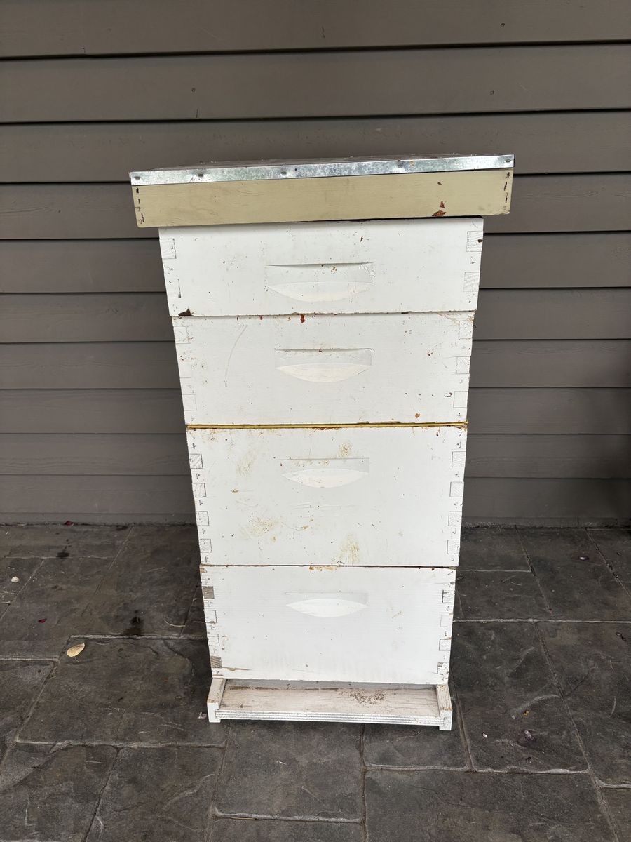 Full hive, individual boxes, feeders