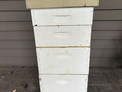 Full hive, individual boxes, feeders