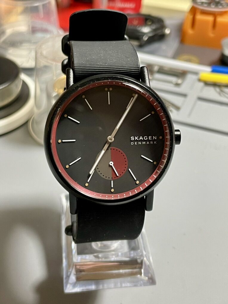 Skagen Quartz Mens Watch