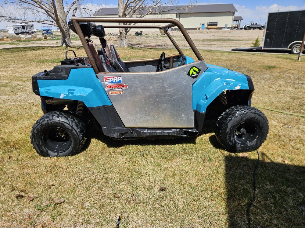 2013 custom mini rzr