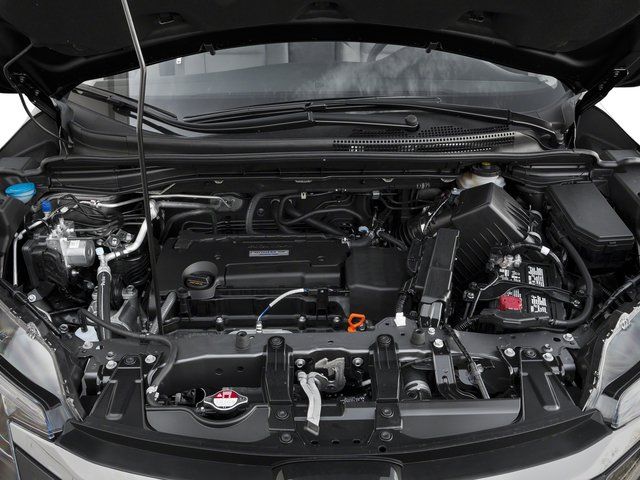 Main image 13