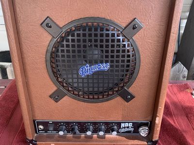 Pignose Hog 30 Portable Rechargeable Guitar & Bass Combo Amplifier