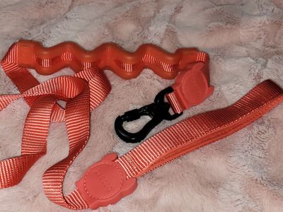 Zee.Dog Neon Coral Ruff Dog Leash 2.0 (Sm. 4FT)