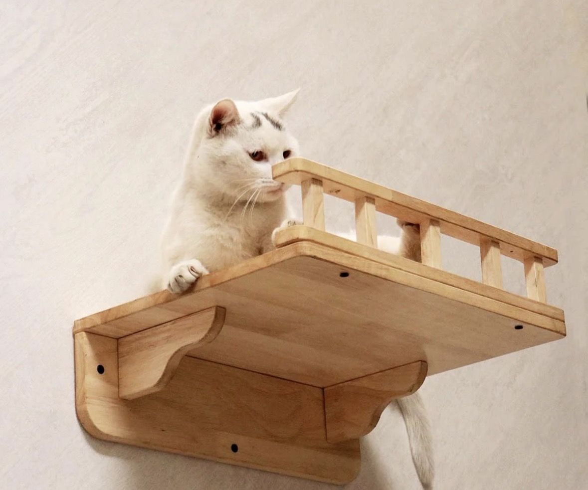 Cat Wall Perch