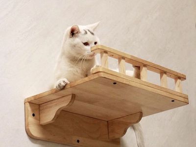 Cat Wall Perch