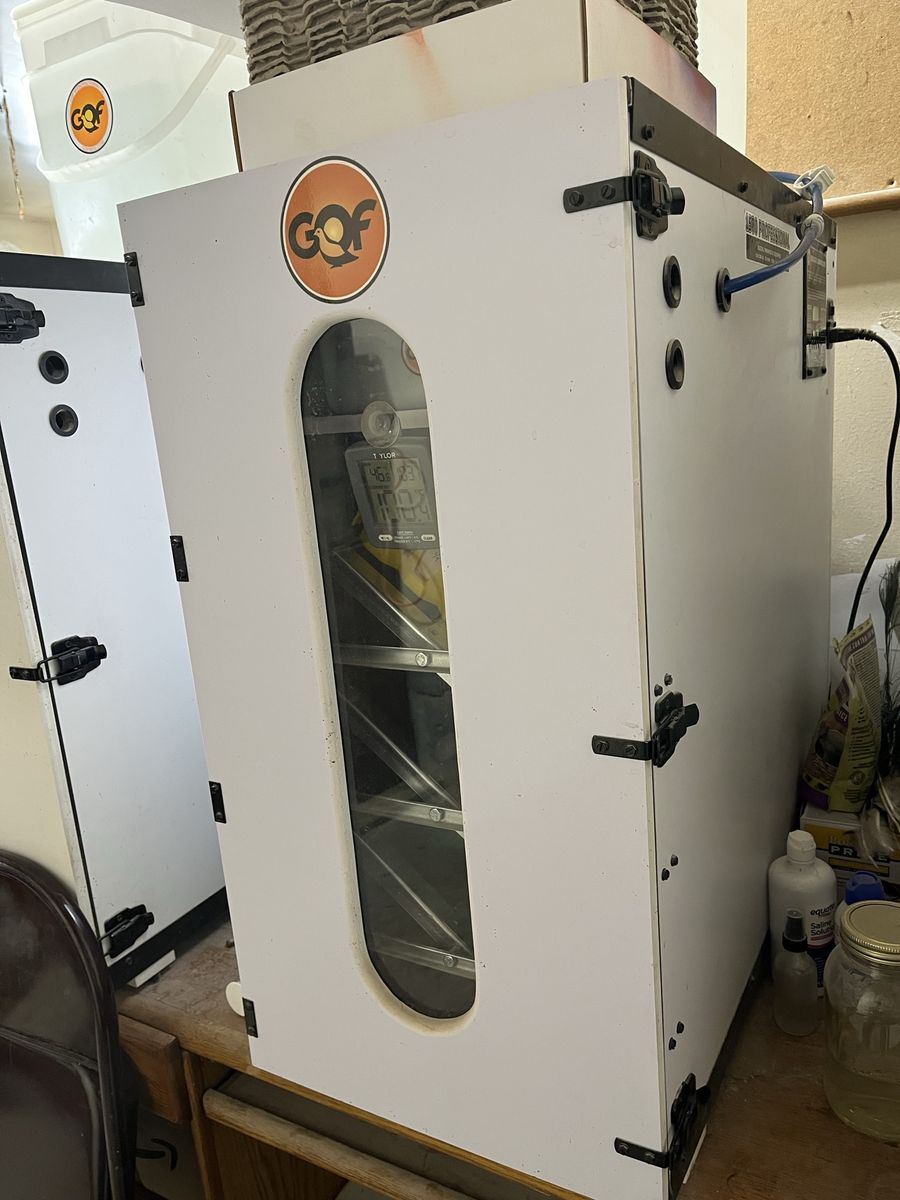 Incubate/Hatch