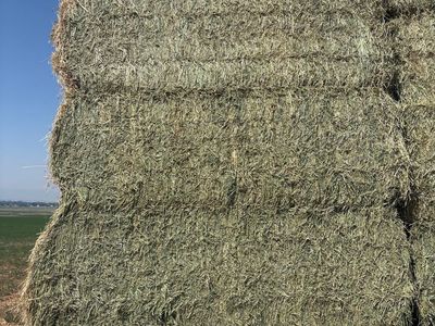 3x4 bales Alfalfa hay 2nd crop