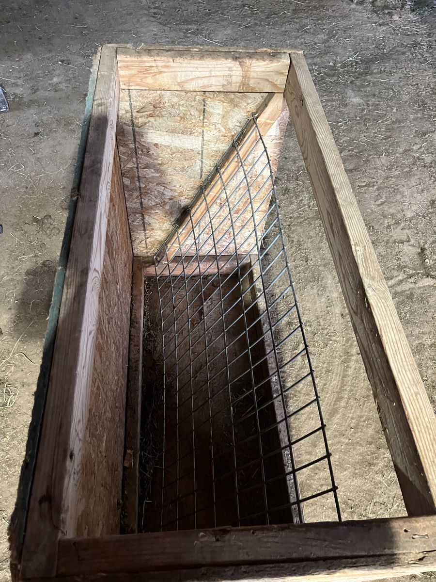 Main image 2