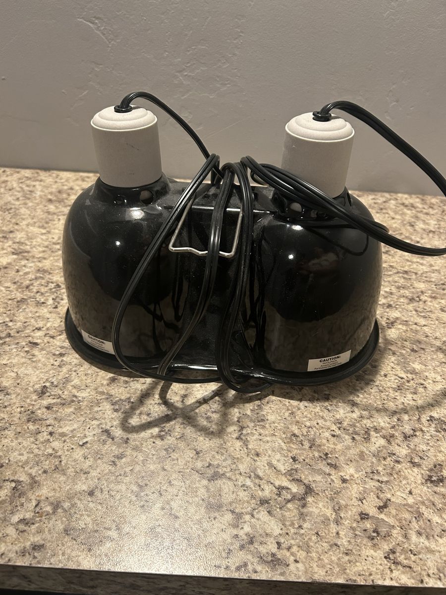 Reptile Light