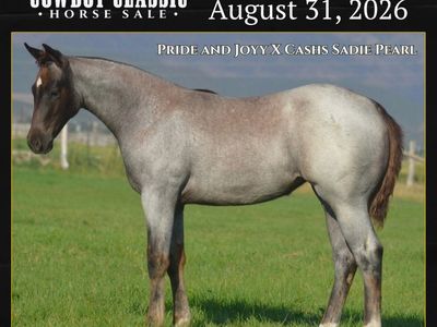 Pride And Joyy “Kilo” Weanling Filly