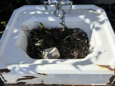 Vintage White Enamel Pedestal Sink Basin w/ Faucet - Architectural Salvage/Planter