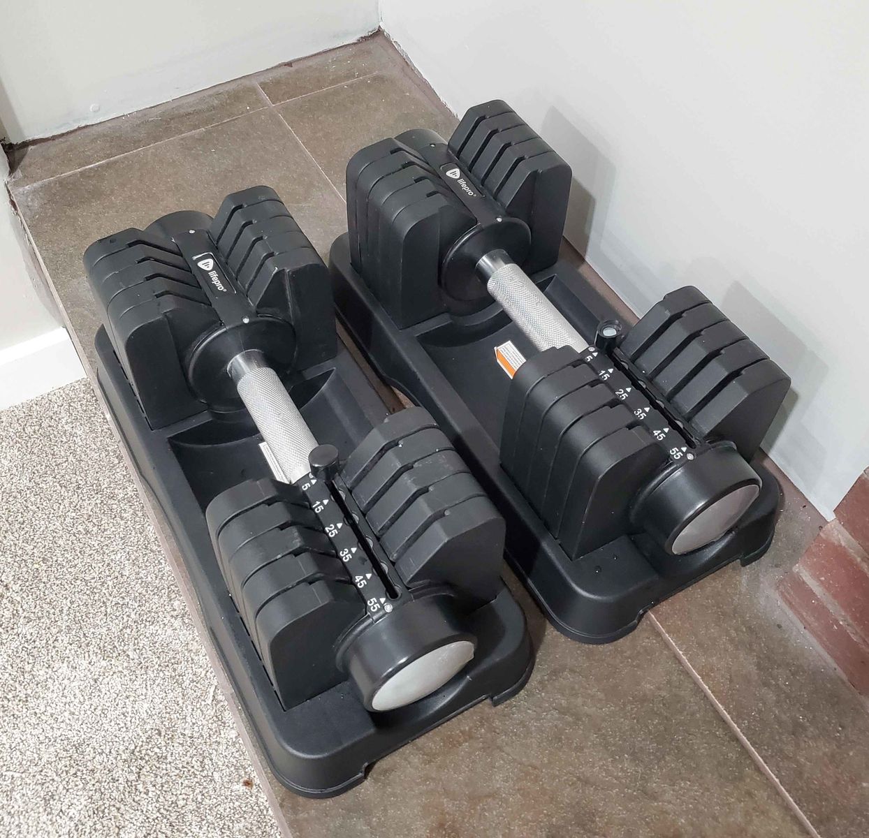 Lifepro Adjustable Dumbbells Set - Pair, 5-55 lbs