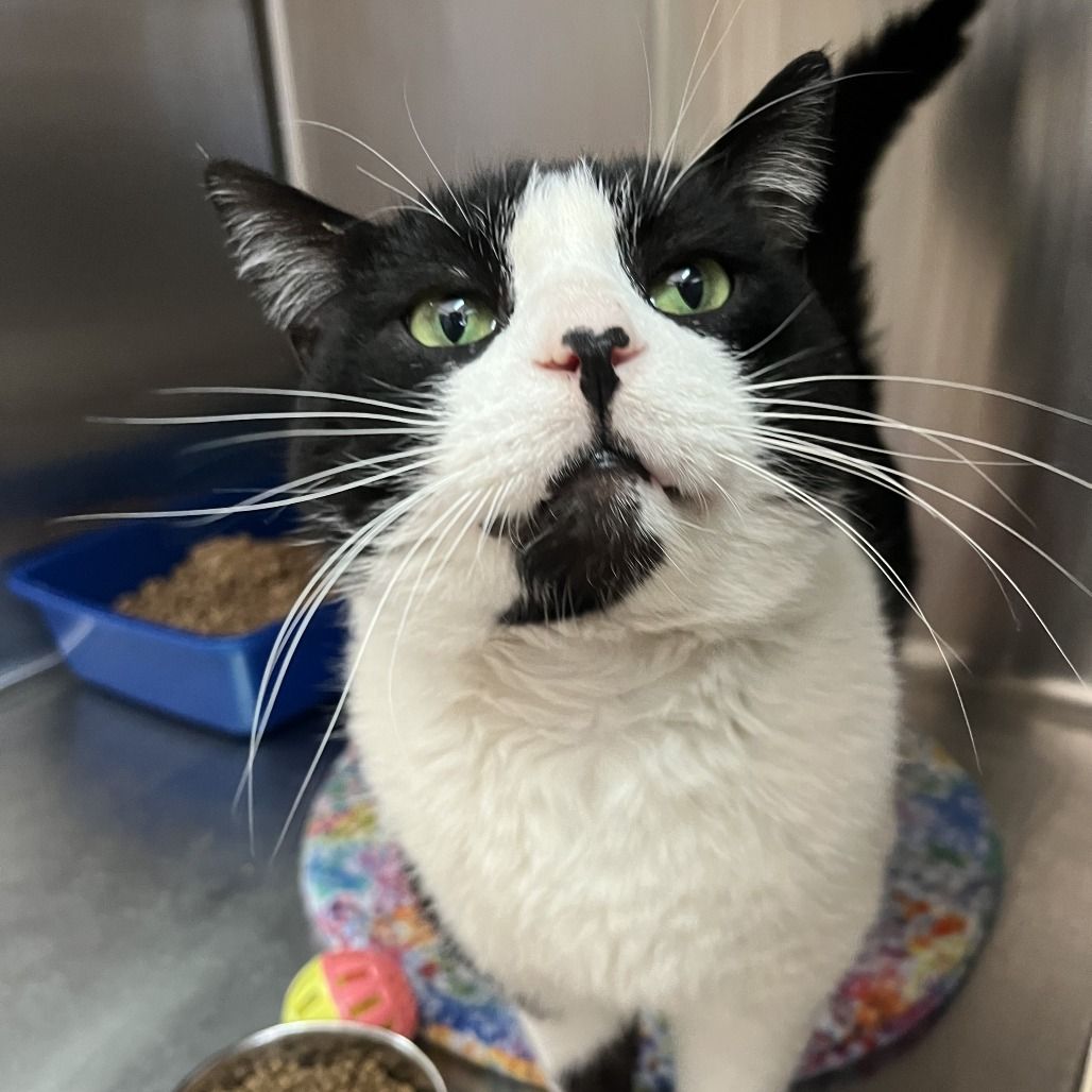 Hello my name is Connor