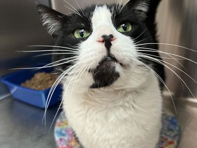 Hello my name is Connor