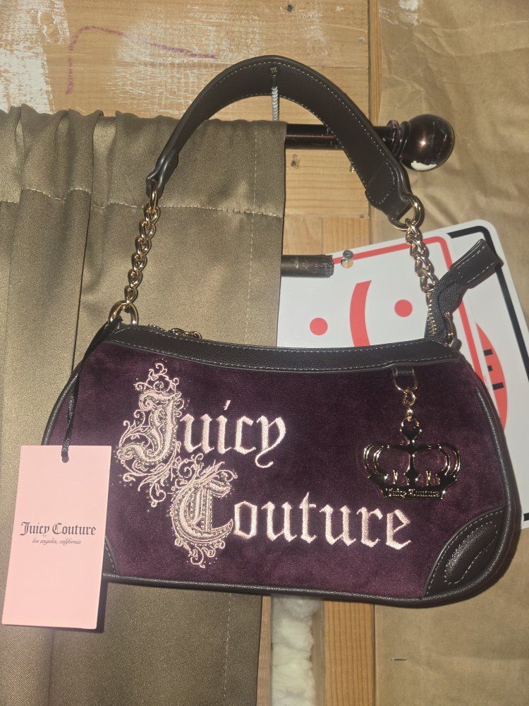 Juicy Couture Renaissance Shoulder Bag in Pickled Beet - Velvet with Gold Chain Strap