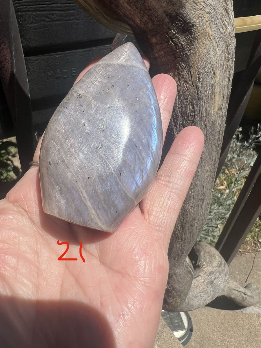 Main image 7