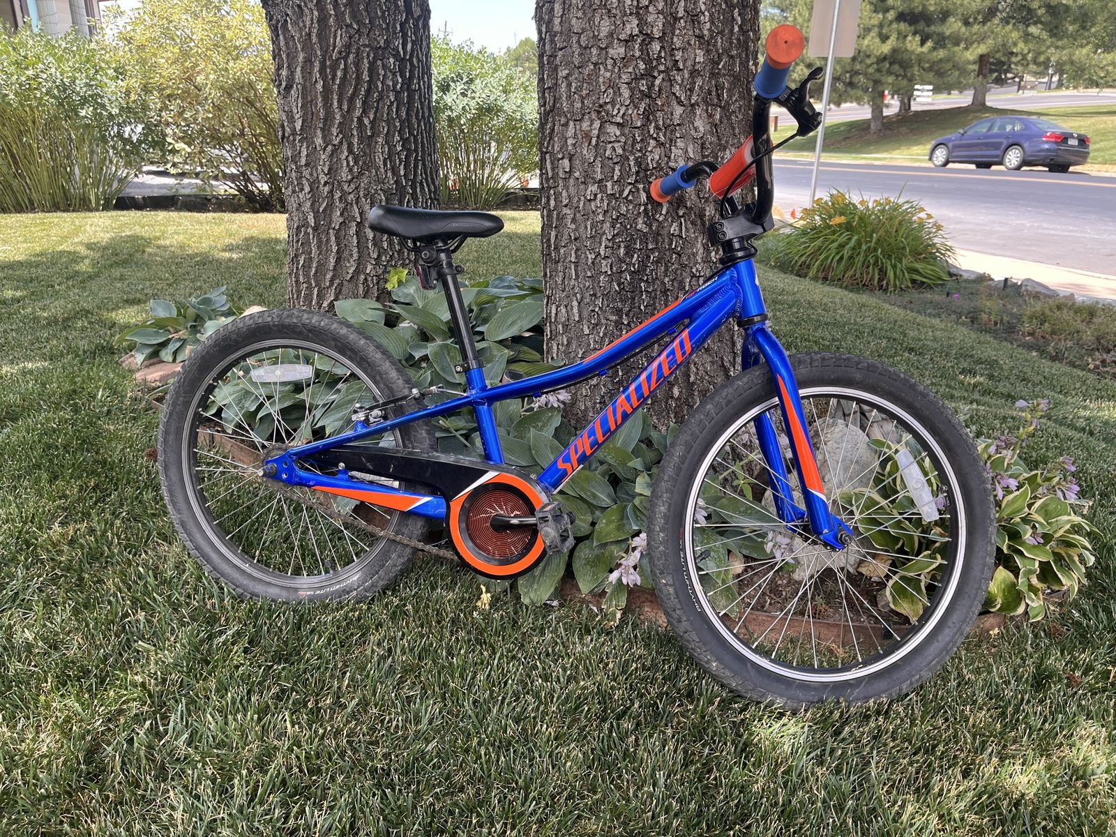 Riproar Specialized Kids Bike