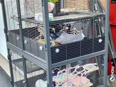 Critter Nation DCN Double Unit