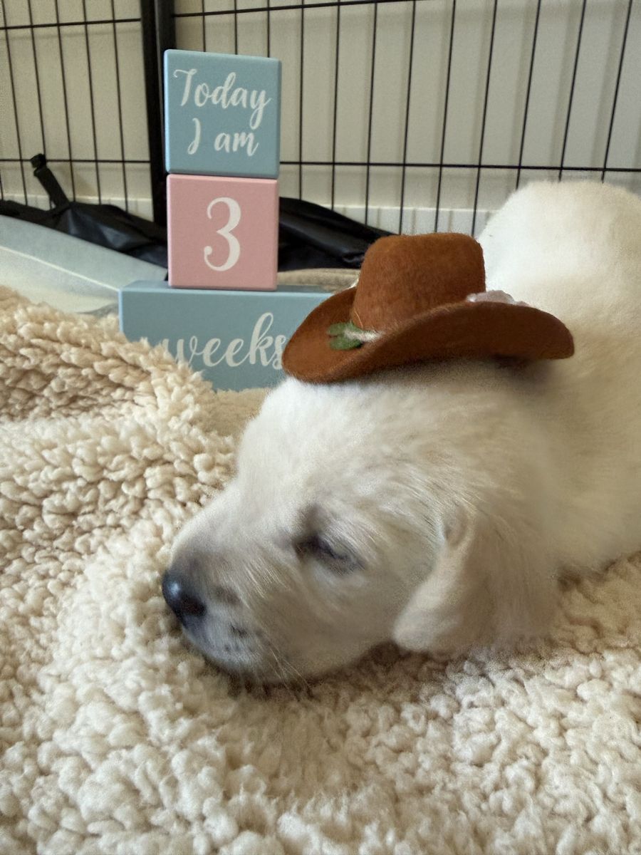 Main image 24