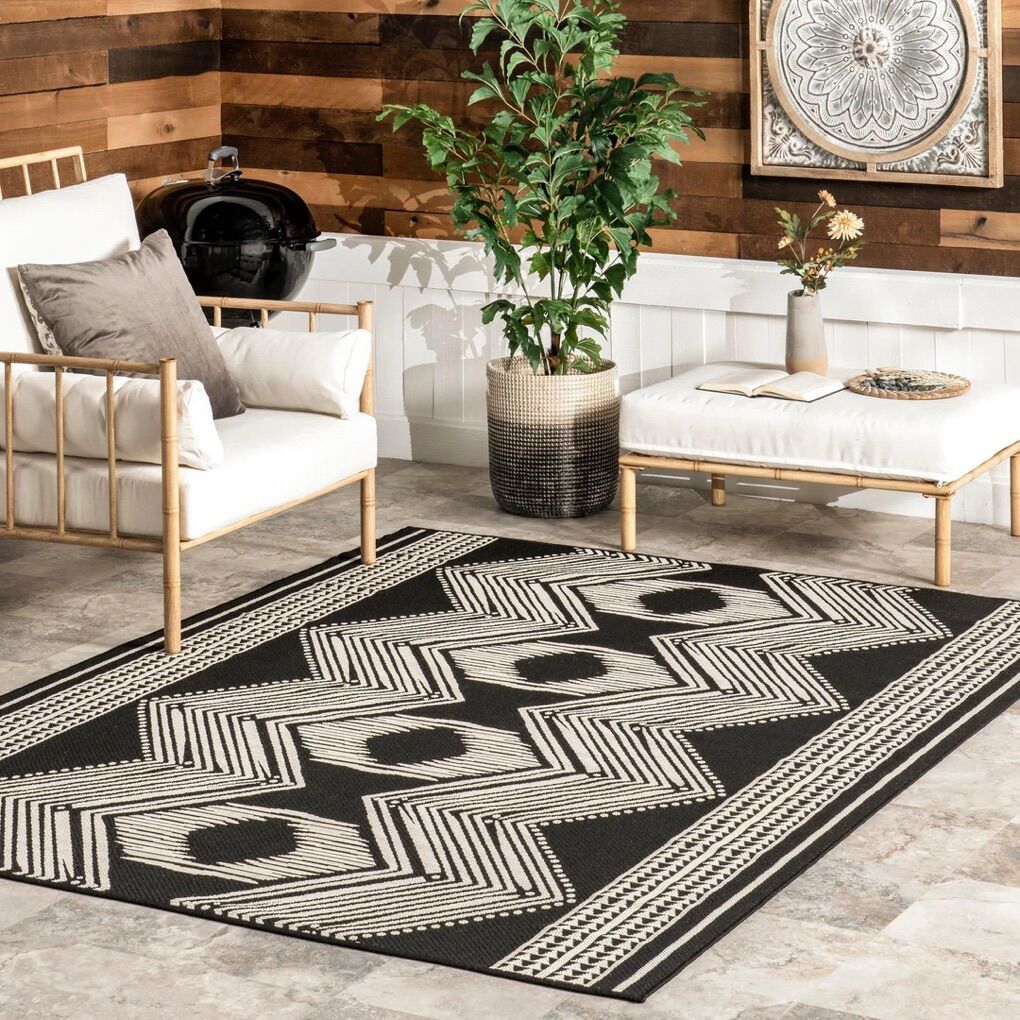 Ranya Tribal Indoor/outdoor Area Rug 4'x6' - NEW!