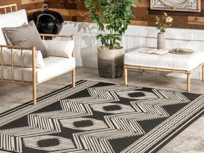 Ranya Tribal Indoor/outdoor Area Rug 4'x6' - NEW!