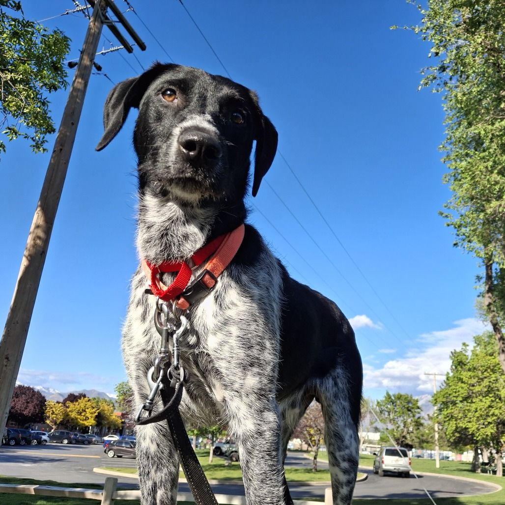 Hello my name is Coco