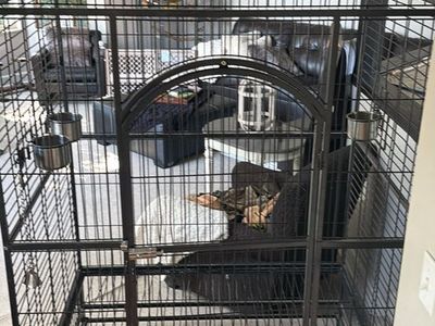 XXL Bird Cage