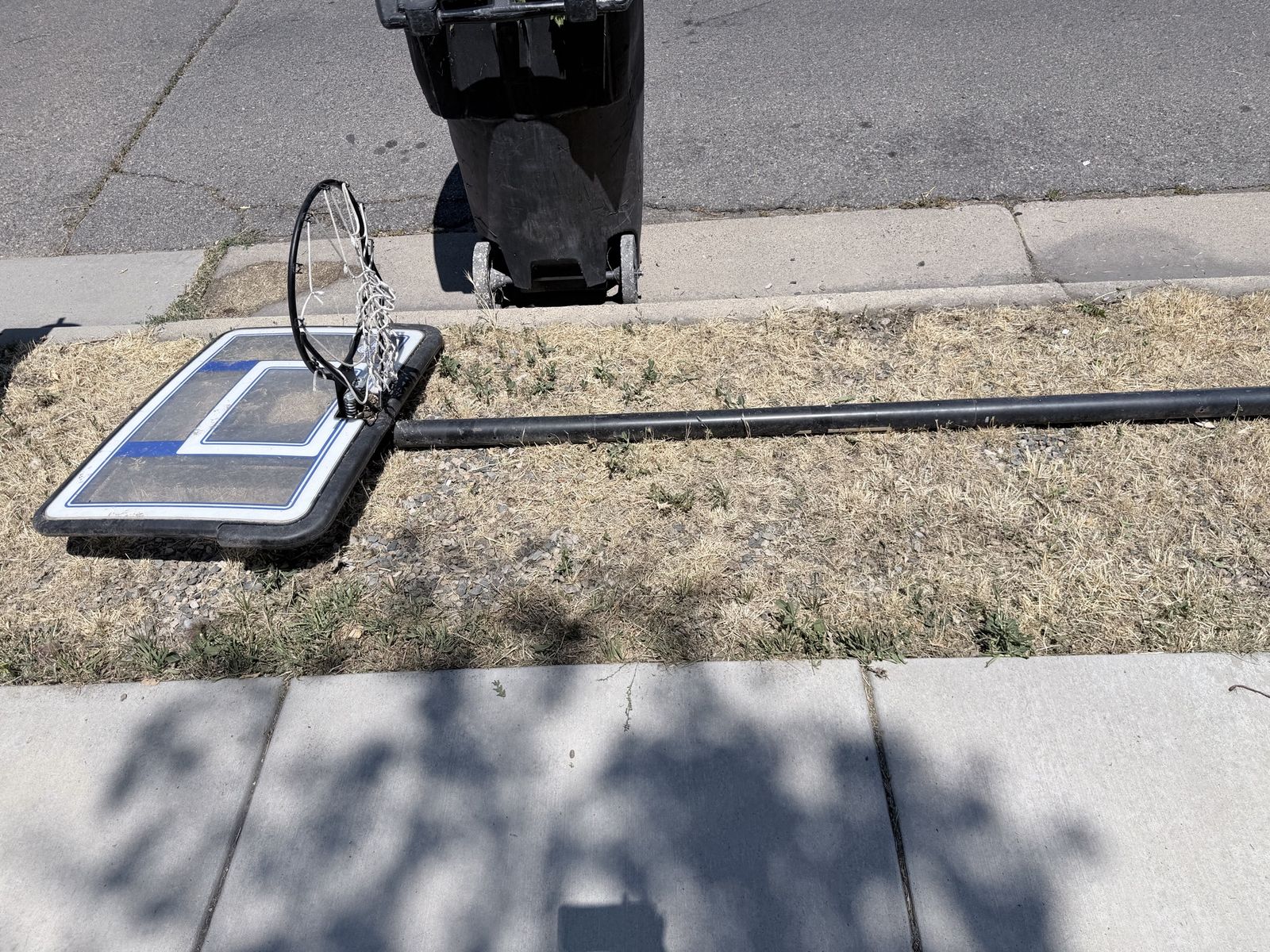 Free basketball hoop