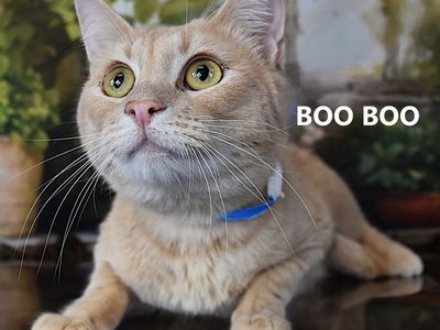 Hello my name is Sundial