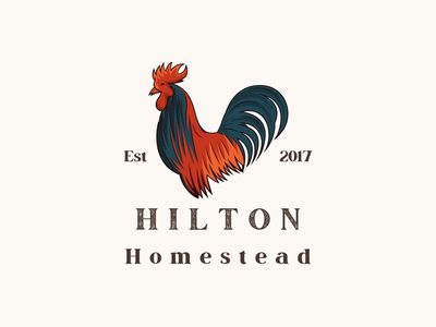 Hens Choice Hatching Eggs