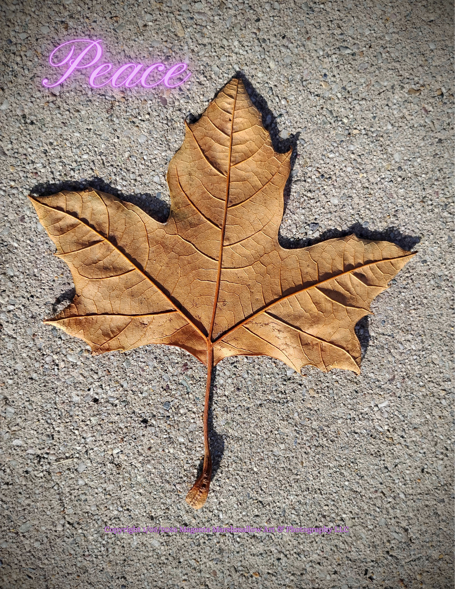 Peace - Canvas print.