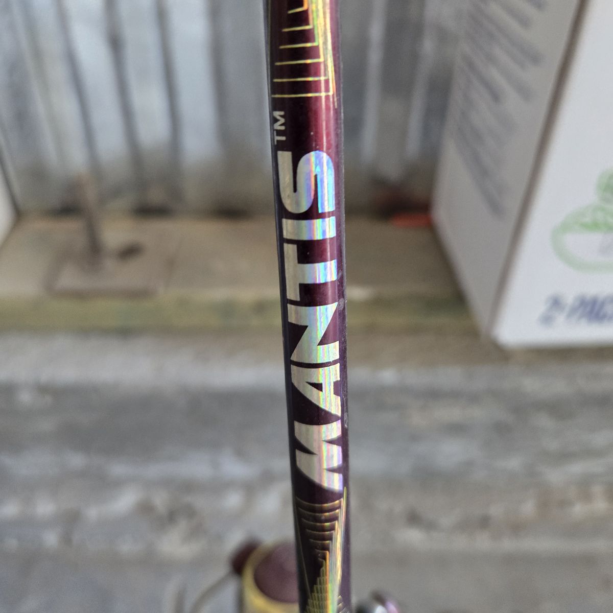 2 Fishing Poles and a Net