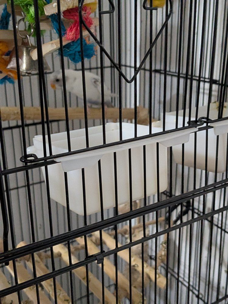 Main image 3