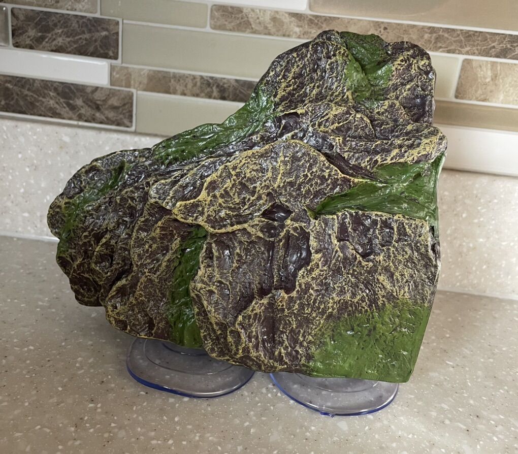 Turtle Platform/ Amphibian & Reptile Habitats