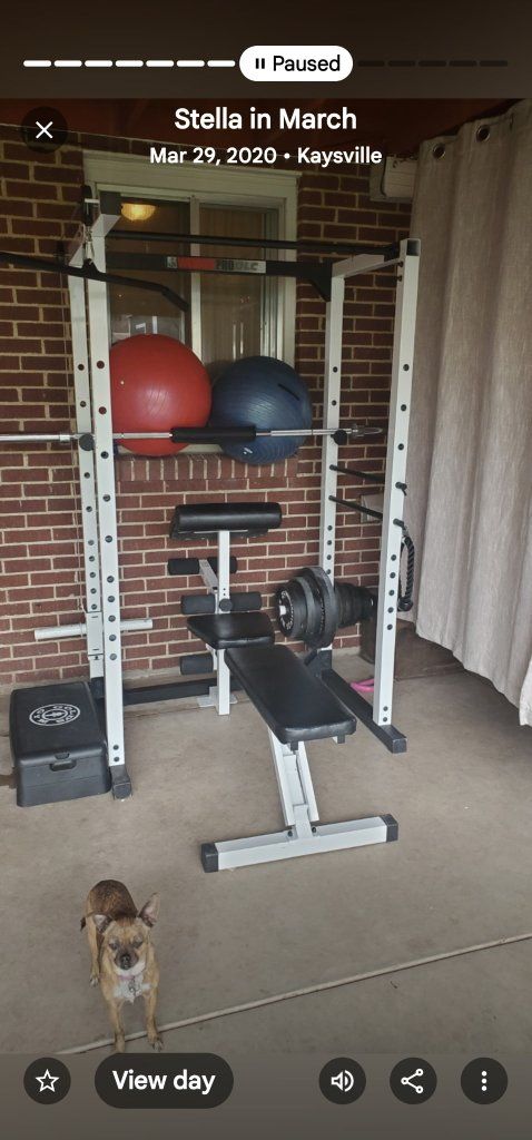 squat rack with weights and bar